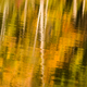 Illustration for article titled Shooting Challenge Fall Leaves Gallery 10